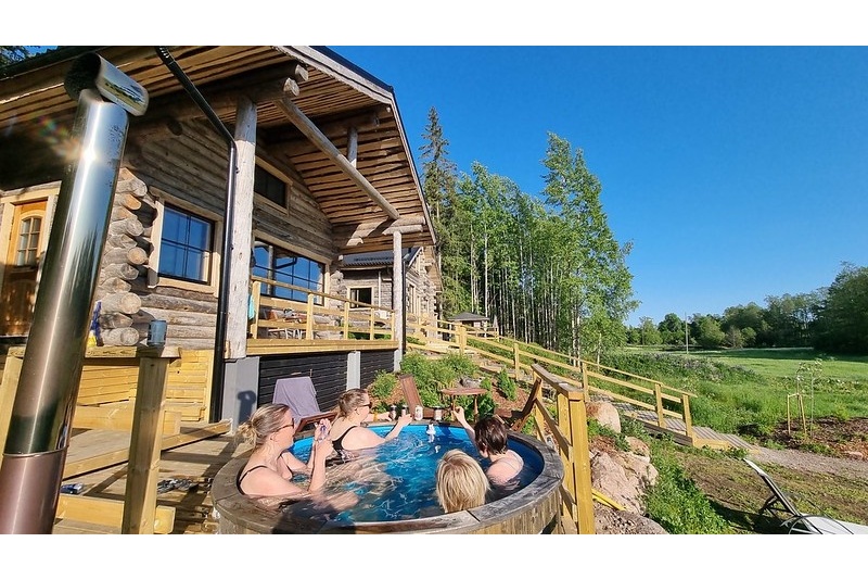 Domek do wynajęcia Kaunisvirta