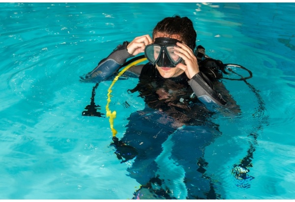 Scout Diver w wybranym mieście