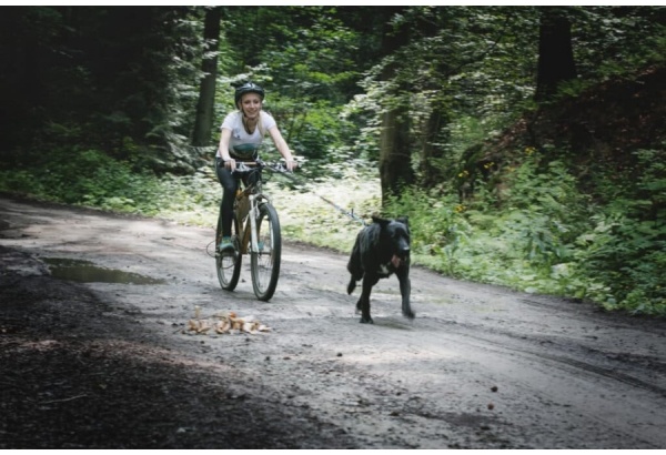 Bikejoring w Limanowej