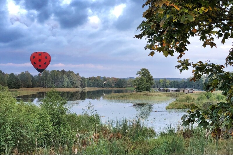Lot balonem na ogrzane powietrze BizBizMārīte w Kandavie, Talsi lub Tukums od "GaisaBaloni.lv"