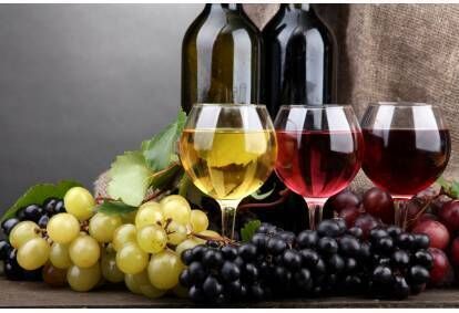 Zwiedzanie winnicy Witaj Słońce z degustacją i winem w prezencie