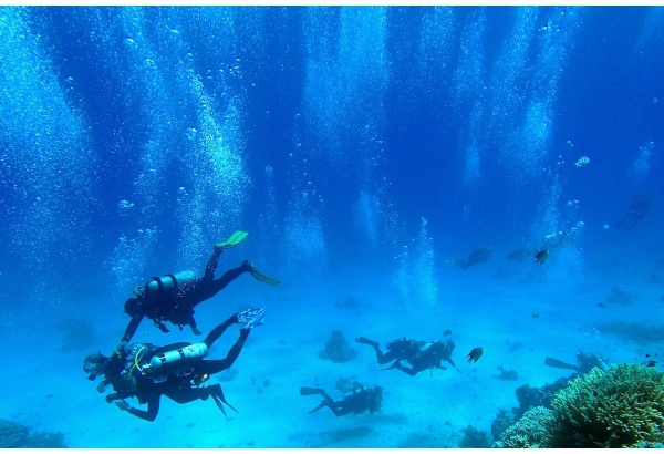 Podstawowy kurs nurkowy OWD z Go diving w Warszawie