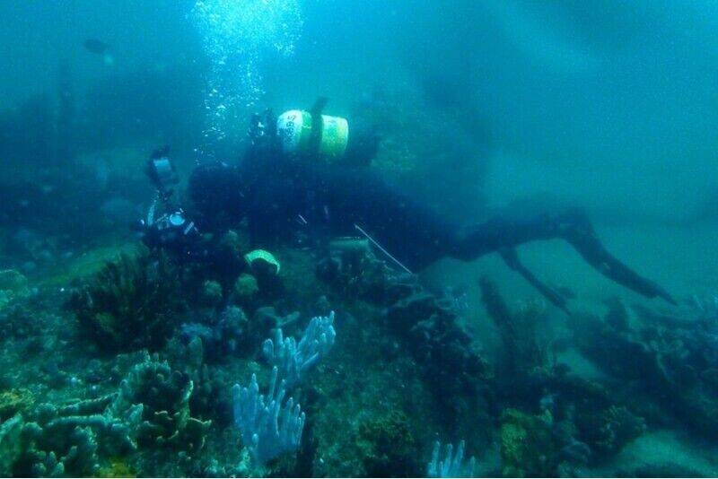 Kurs nawigacji podwodnej z First Dive