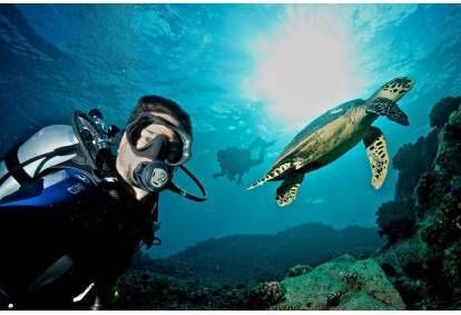 Kurs fotografii podwodnej i filmowania z First Dive