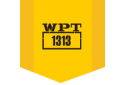 WPT1313